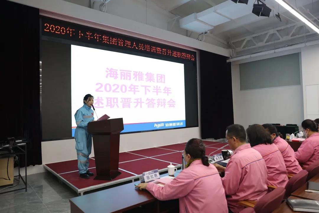 海麗雅集團(tuán)