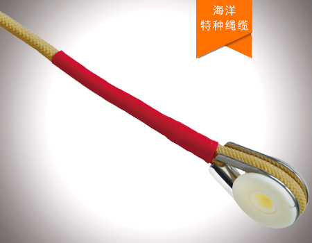 深海潛標(biāo)纜