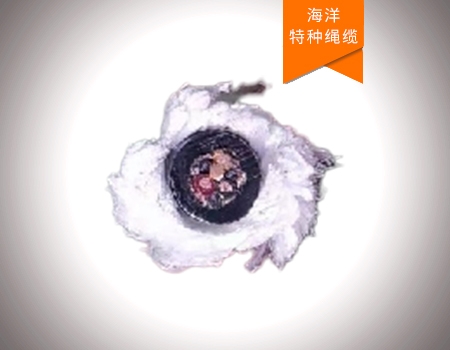 縱向載荷絞車信號(hào)纜繩