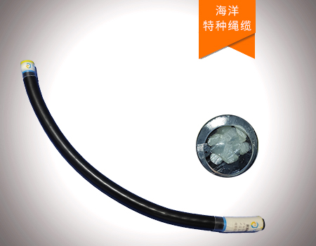 防扭轉(zhuǎn)纖維柔性光纖桿